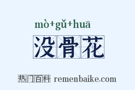 没骨花是什么意思的图片